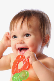 Les jouets a mordre une passion